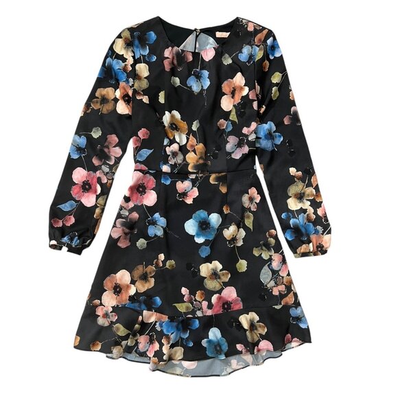 Anthropologie Hutch Shea Floral Mini Dress Black 6‎ Long Sleeve Ruffle Romantic - Picture 1 of 16